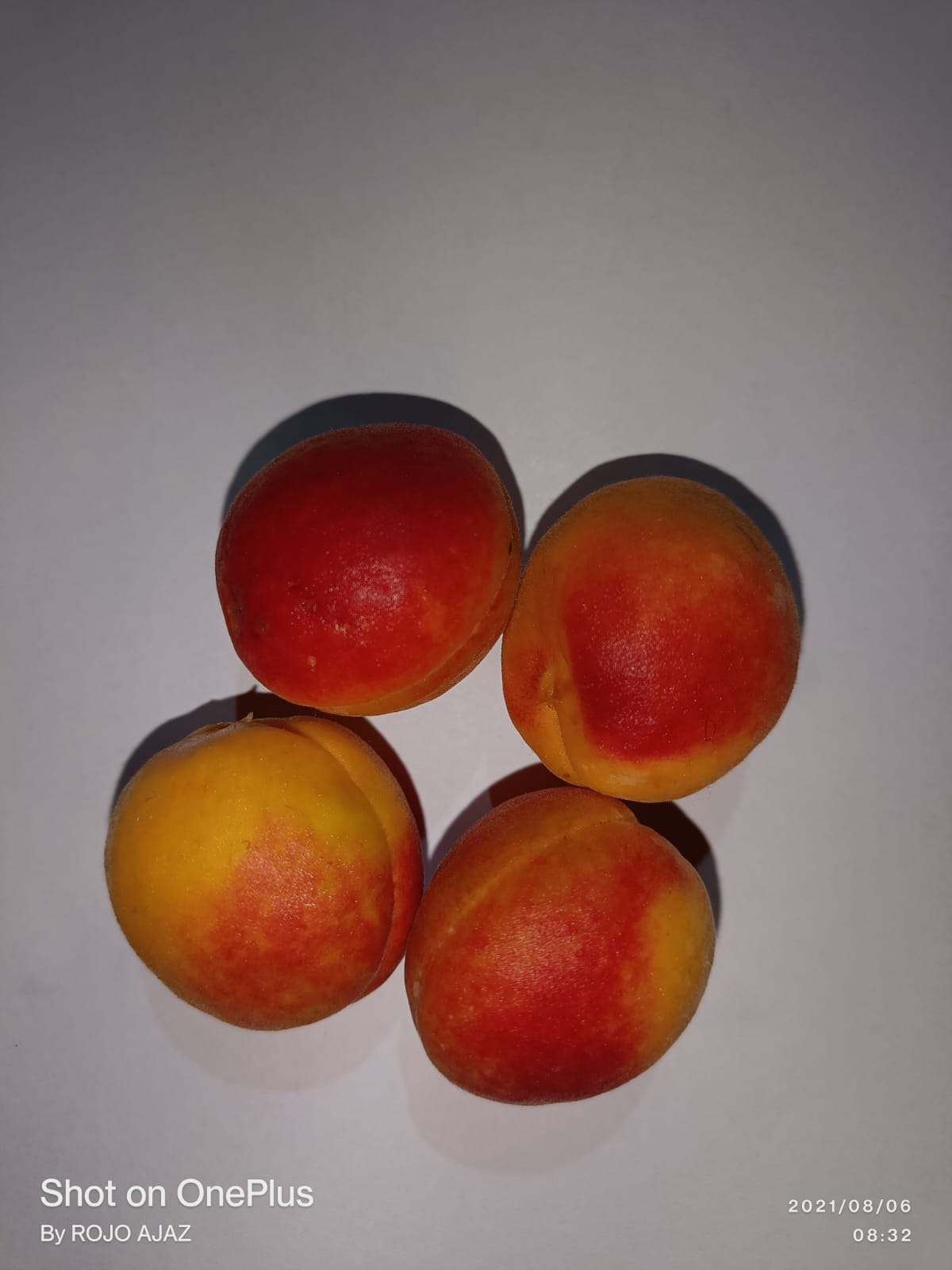 Afgani Apricot khubani - Image 6