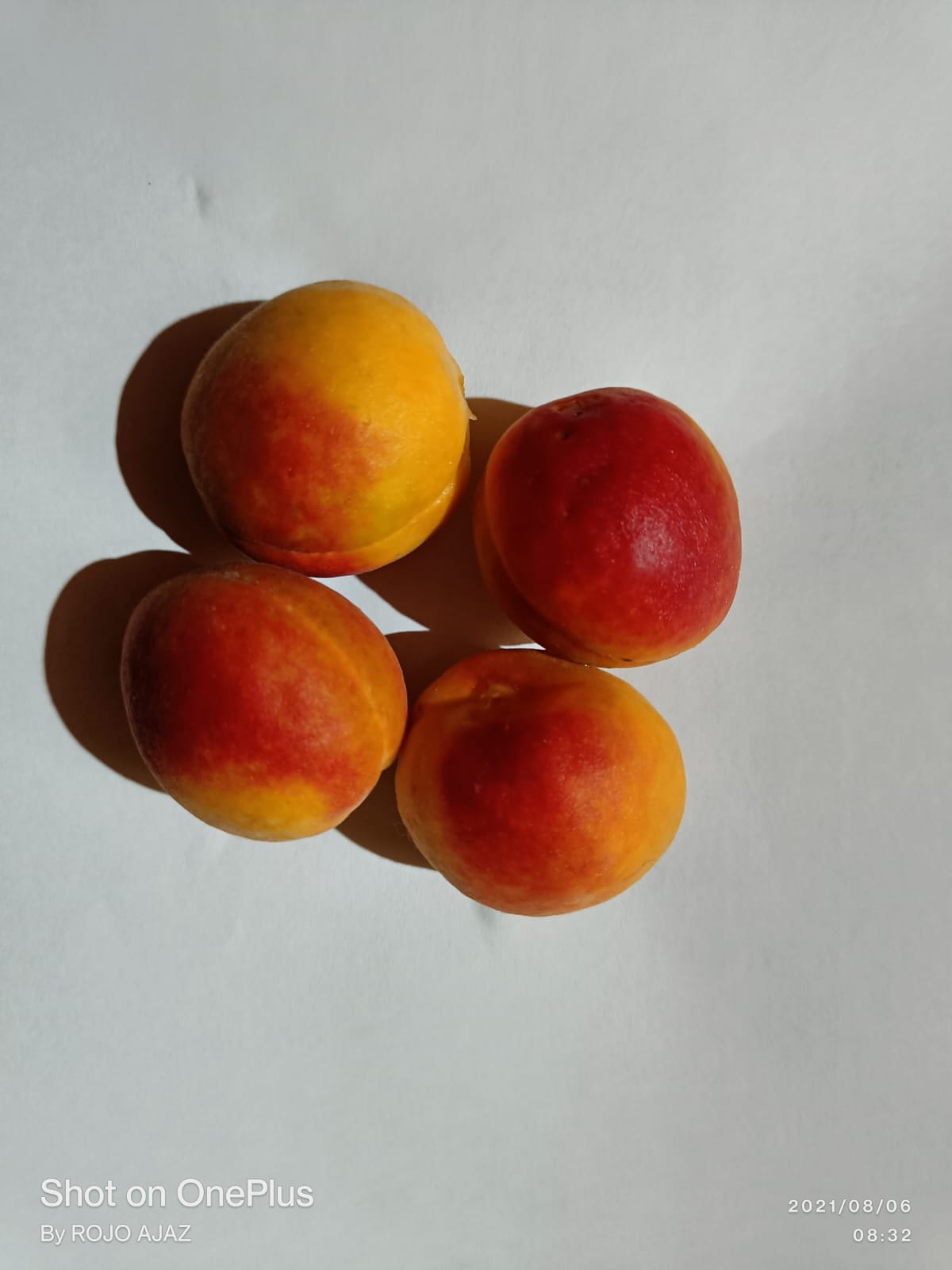 Afgani Apricot khubani - Image 7