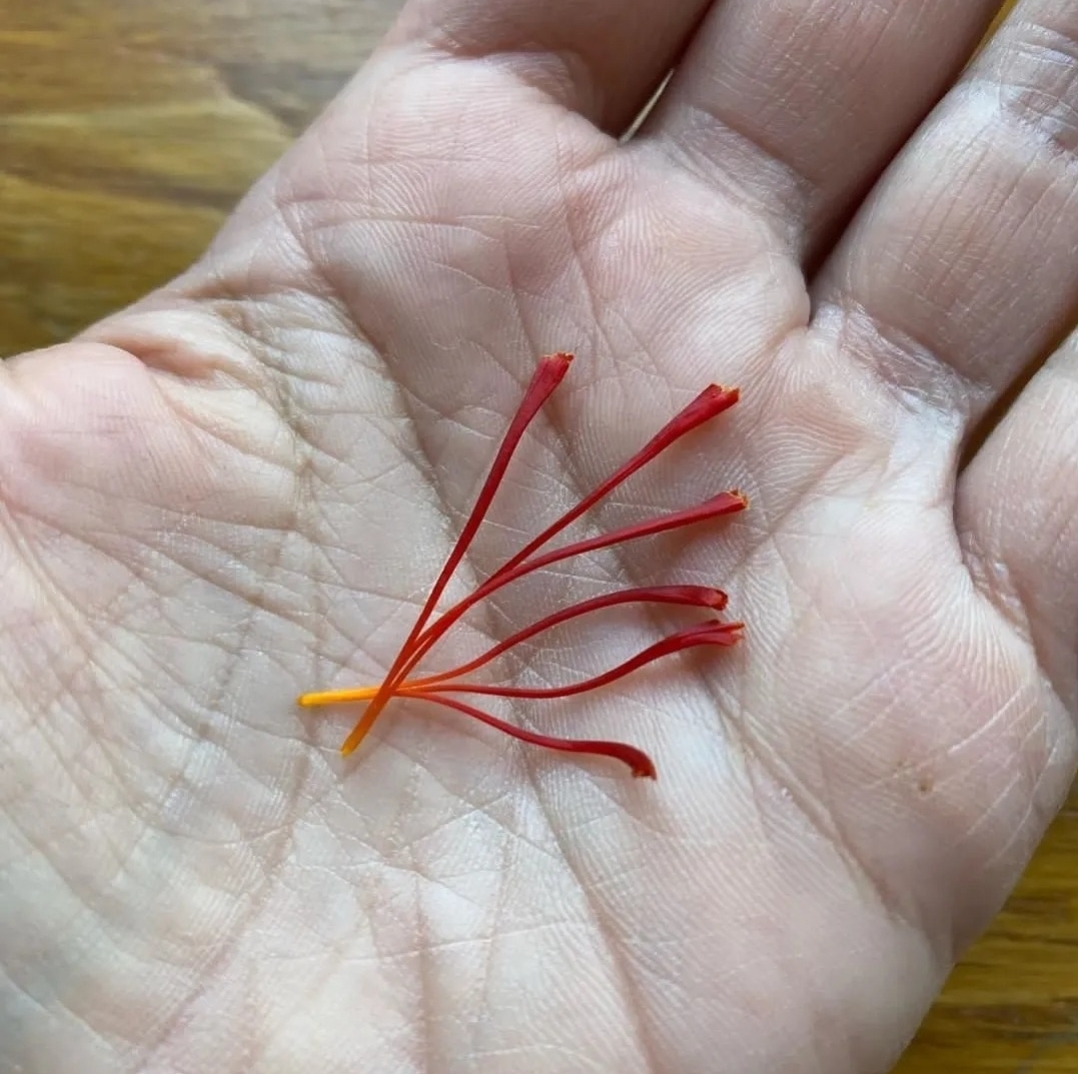 Kashmiri Mongra Saffron (Kesar) - Image 3