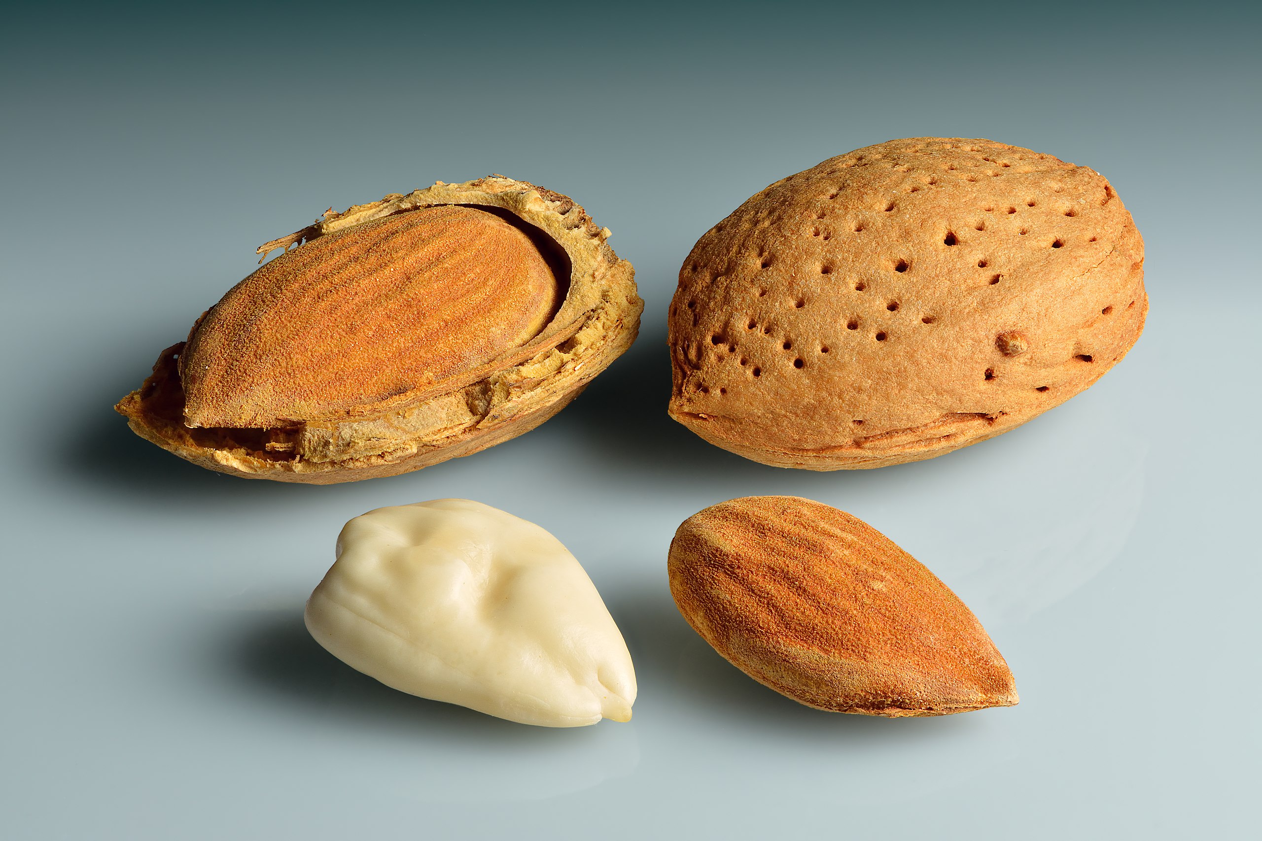 Almond with Shell