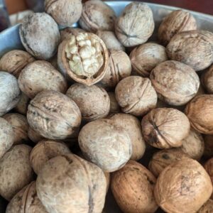 KASHMIRI WALNUT WITH SHELL