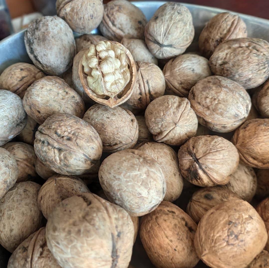 KASHMIRI WALNUT WITH SHELL - Image 2