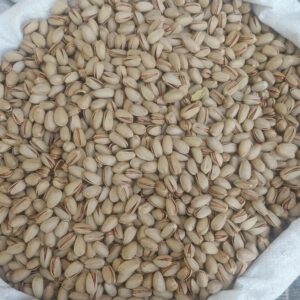 Pistachio Premium Quality