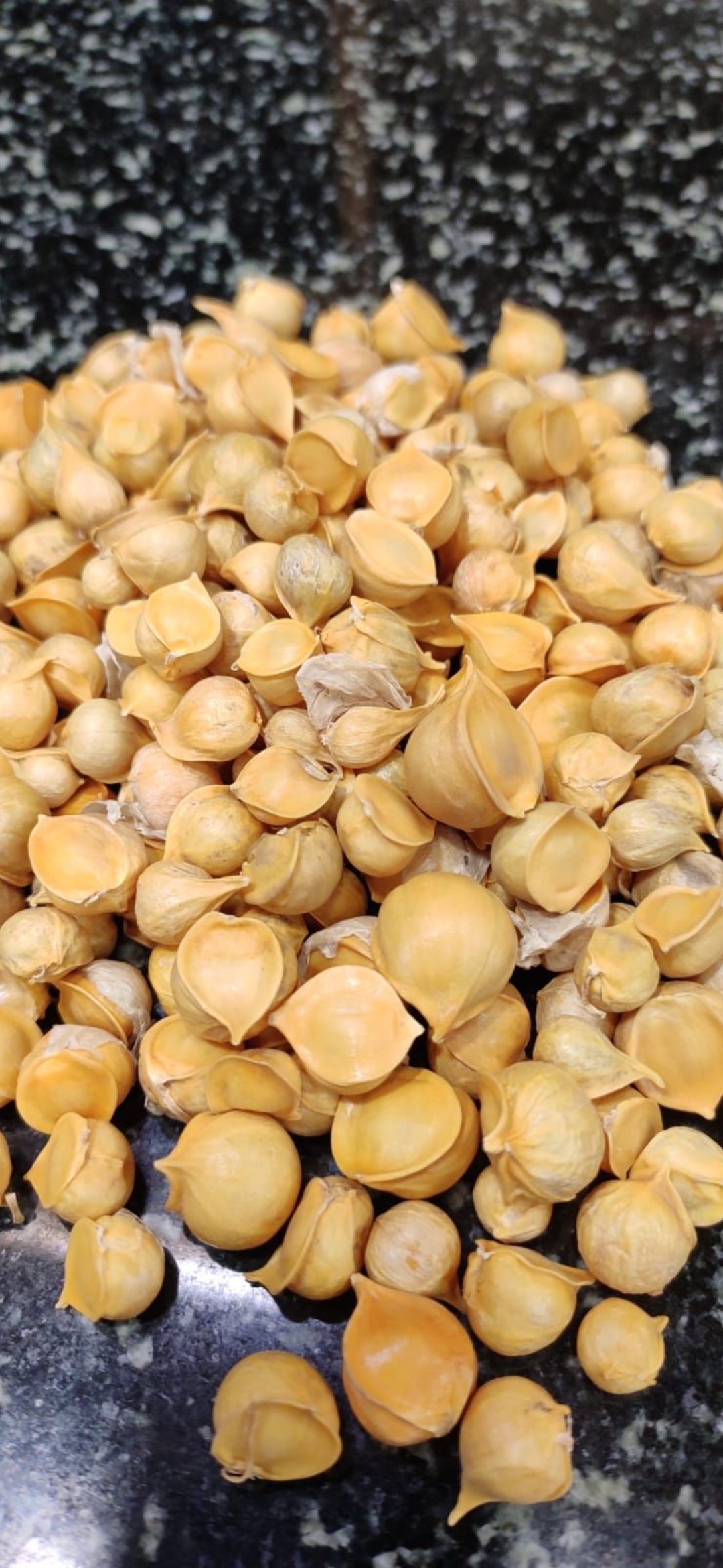Himalayan Kashmiri Garlic - Image 3