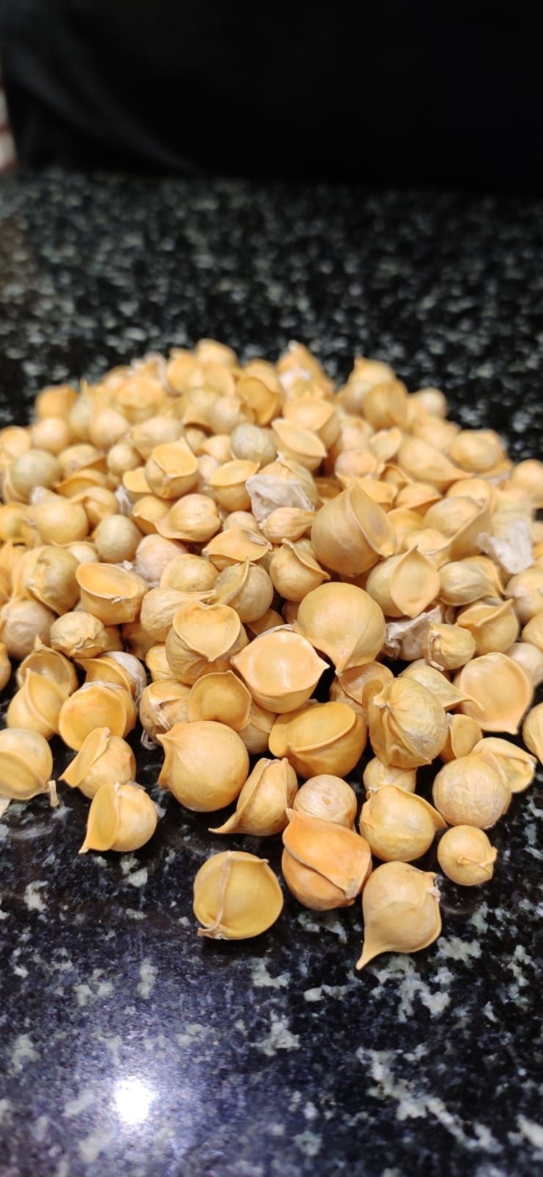 Himalayan Garlic Single Seed