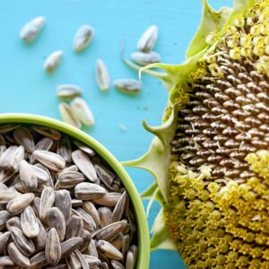 Sunflower Seeds
